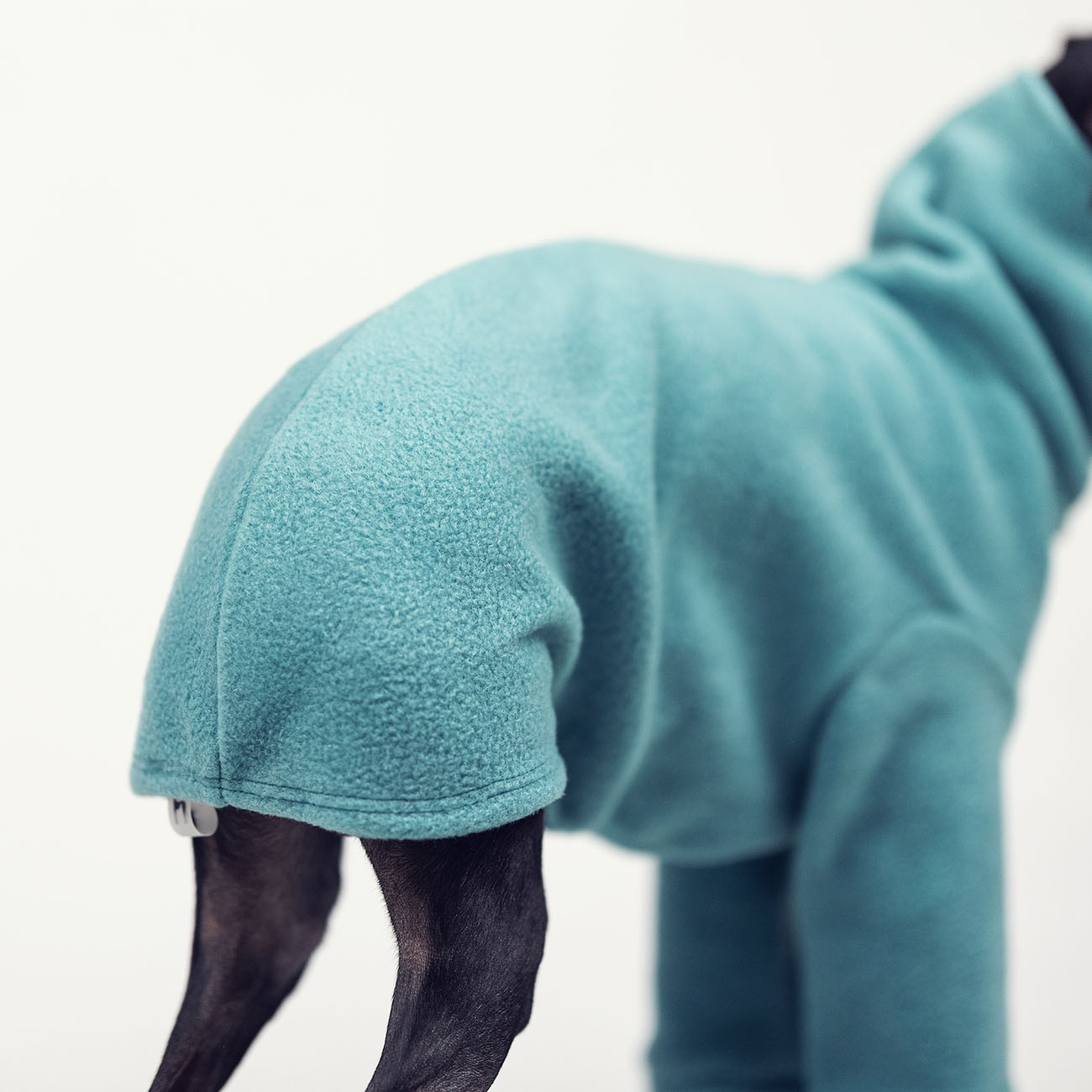 Italian greyhound clothing MINT FLEECE REVOLUTION - Wear.Chartbeat image 4