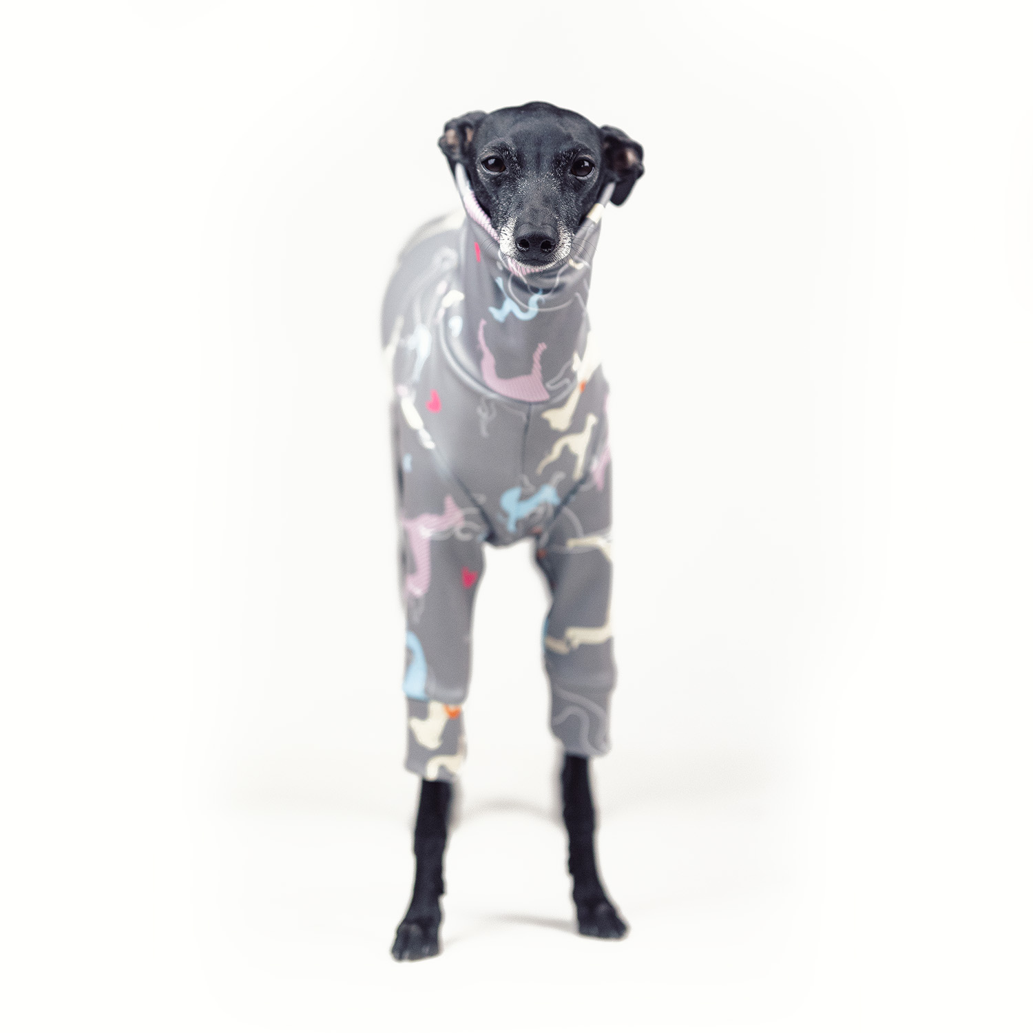 Italian greyhound clothingIGGY OUTLINE Stretchmax® blouse - Wear.Chartbeat image 3