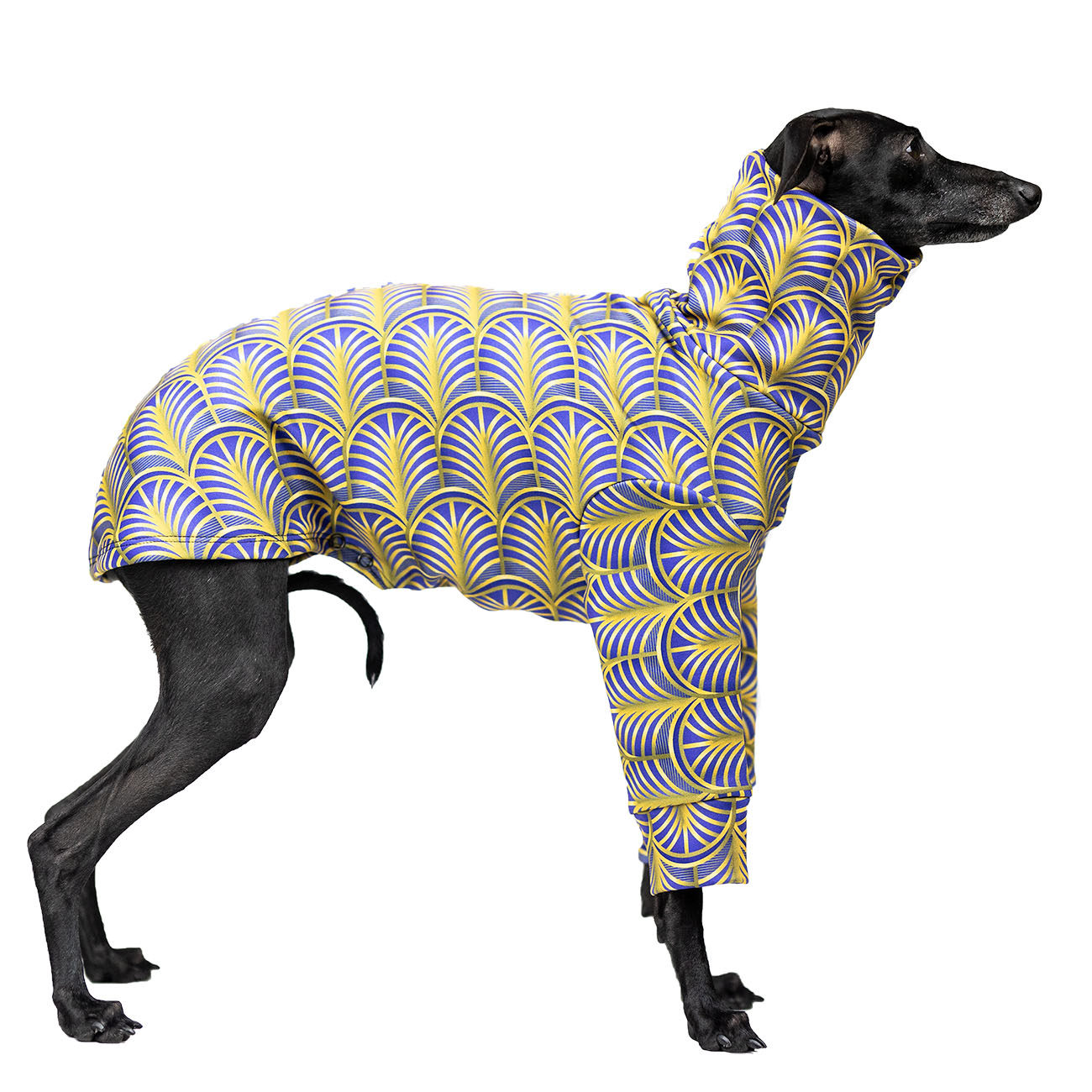 Italian greyhound clothing GOLD PALM - Wear.Chartbeat image 2