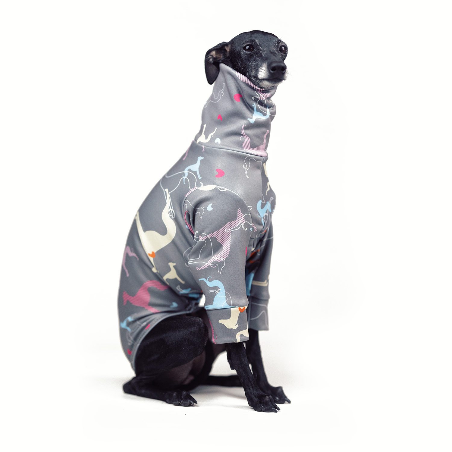 Italian greyhound clothingIGGY OUTLINE Stretchmax® blouse - Wear.Chartbeat image 4