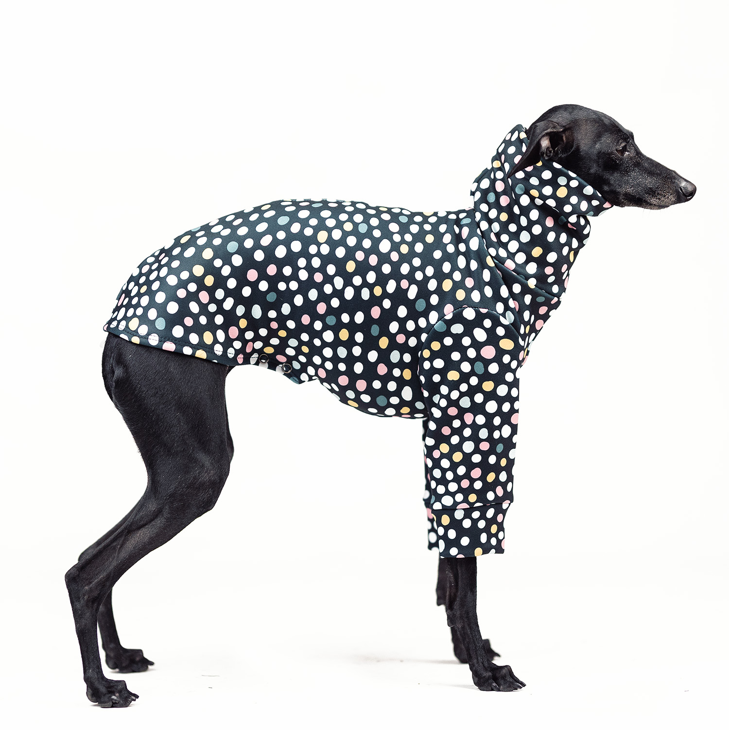 Italian greyhound clothing DOTTY STYLE Stretchmax® blouse - Wear.Chartbeat image 1