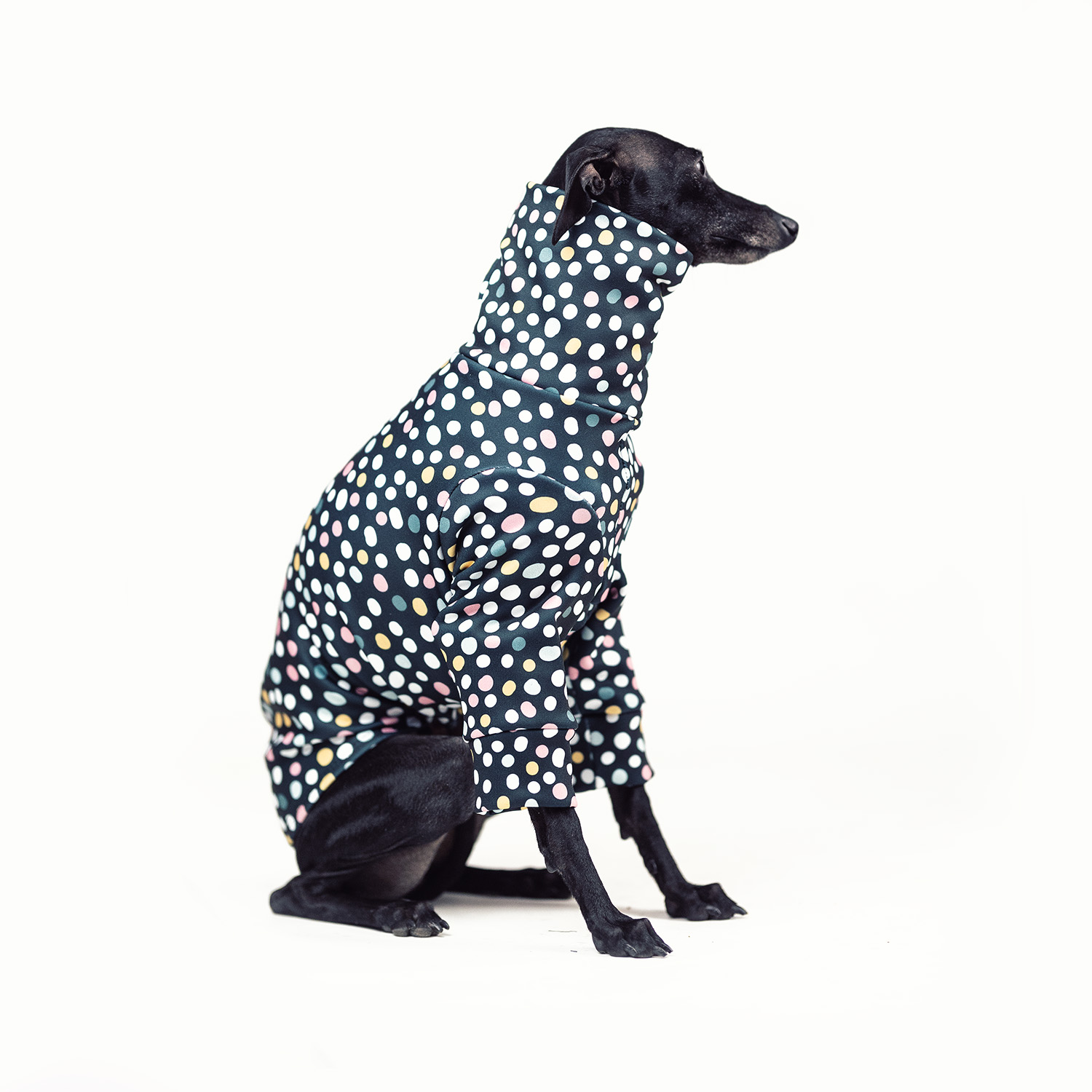 Italian greyhound clothing DOTTY STYLE Stretchmax® blouse - Wear.Chartbeat image 3