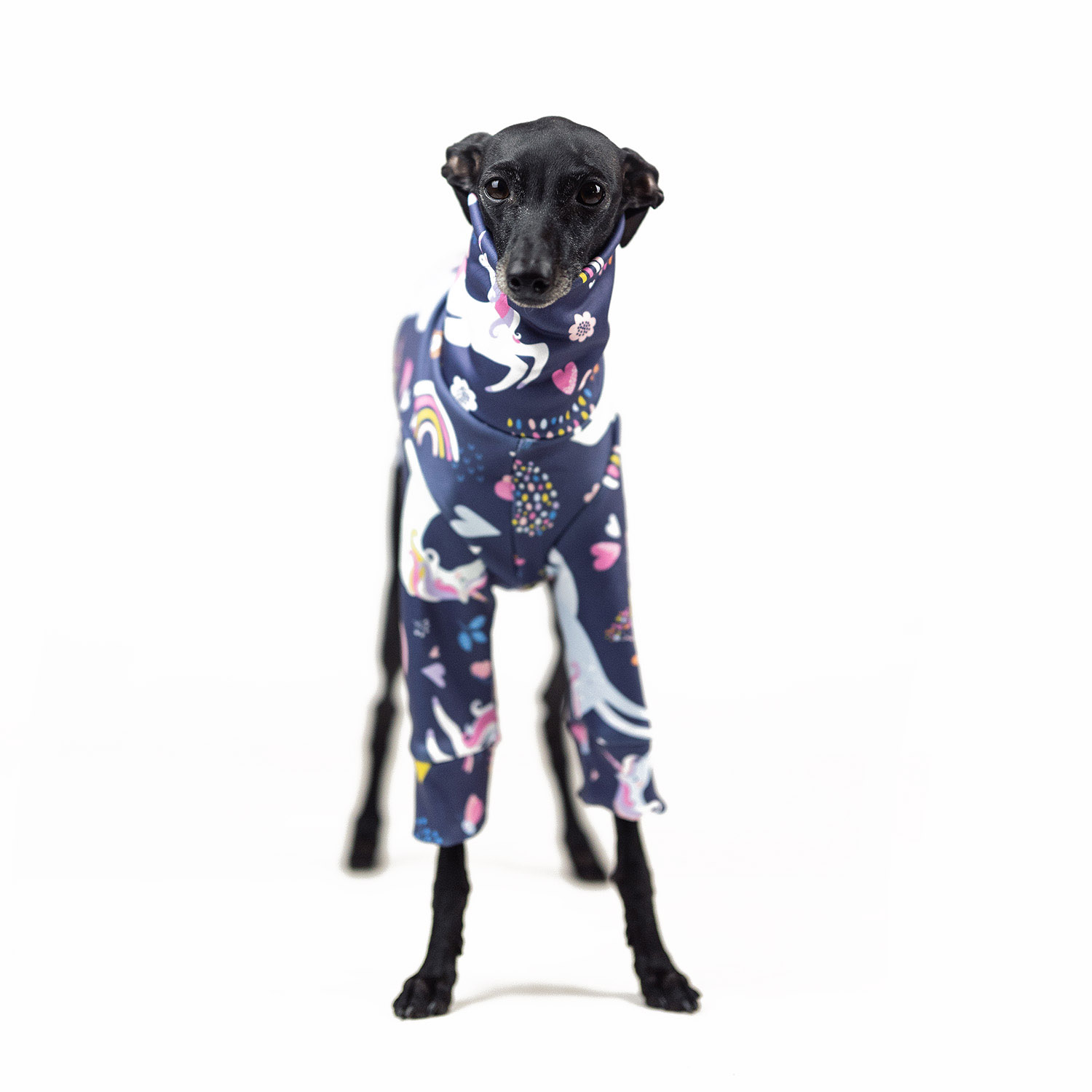 Italian greyhound clothing UNICORN ATTACK Stretchmax® blouse - Wear.Chartbeat image 2
