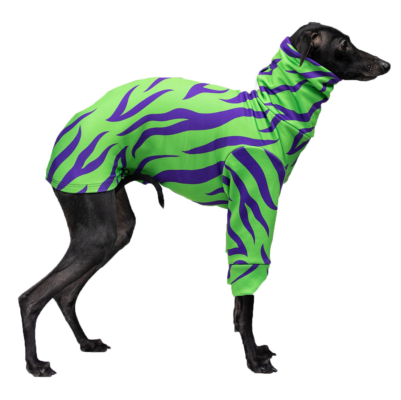Italian greyhound clothing TIGER blouse - Wear.Chartbeat image 2