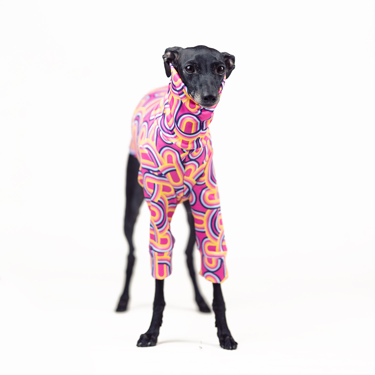 Italian greyhound clothing BARBIEE Stretchmax® blouse - Wear.Chartbeat image 3