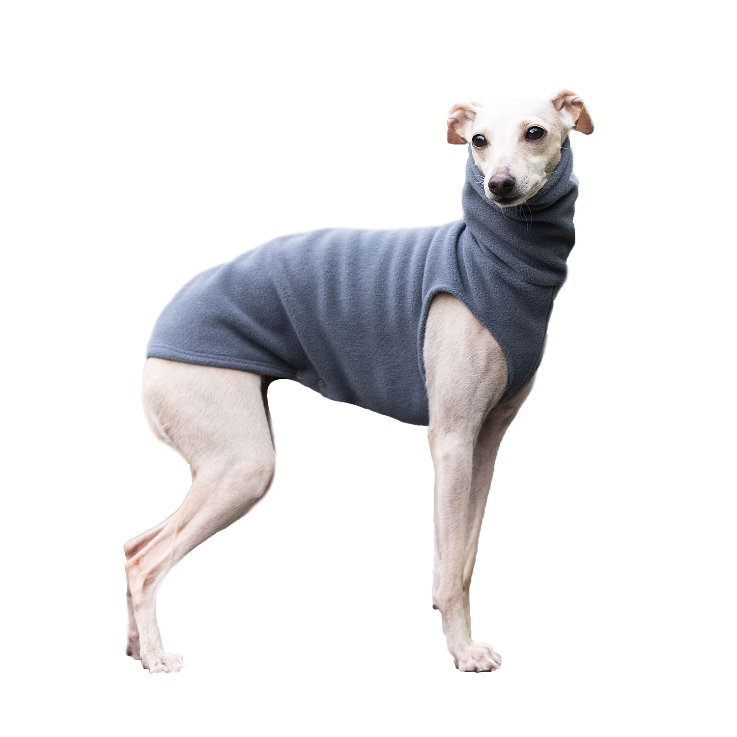 Italian greyhound clothing GREY FLEECE - Wear.Chartbeat image 1