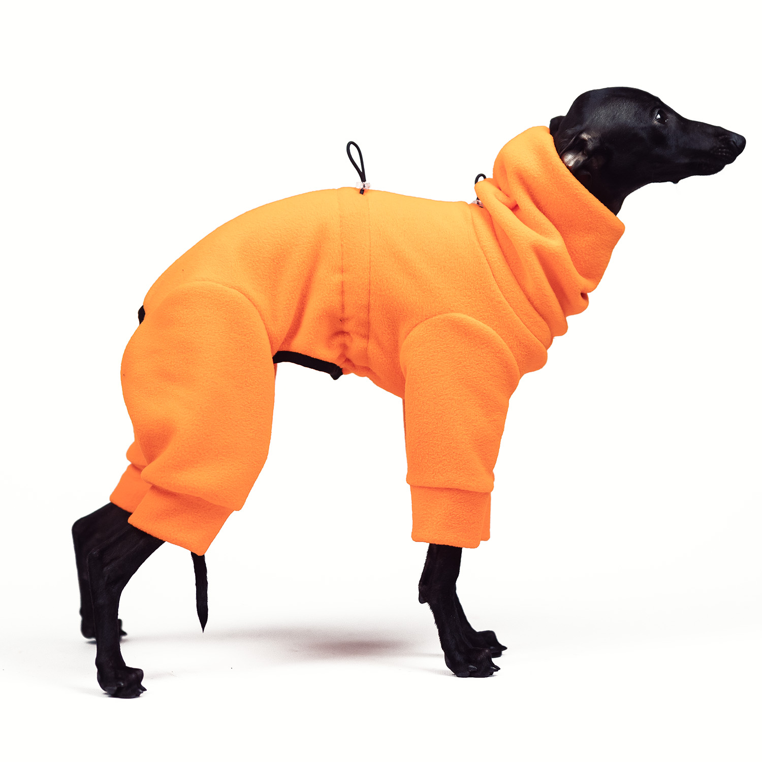 Jumpsuit for italian greyhound NEON BLAZE - Wear.Chartbeat image 3