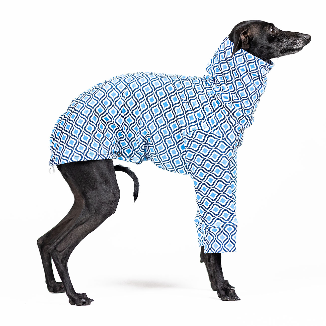 Italian greyhound clothing SANTORINI - Wear.Chartbeat image 2
