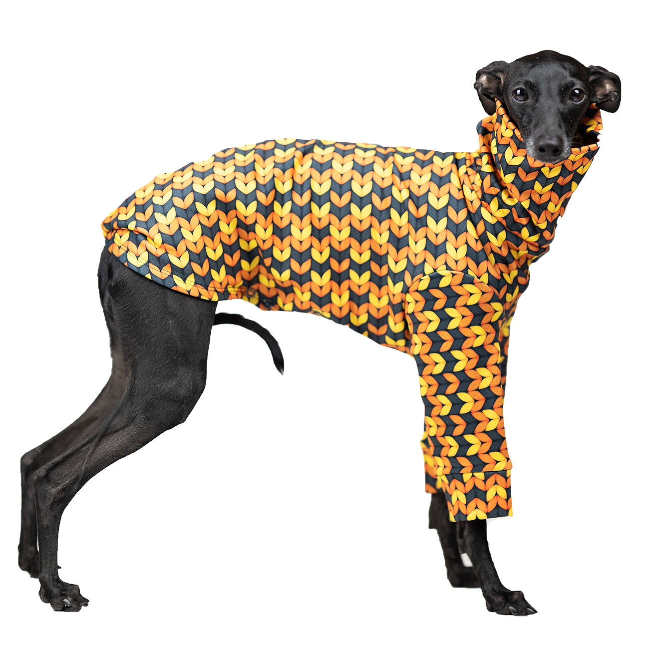 Italian greyhound clothing AUTUMN SWEATER - Wear.Chartbeat image 2