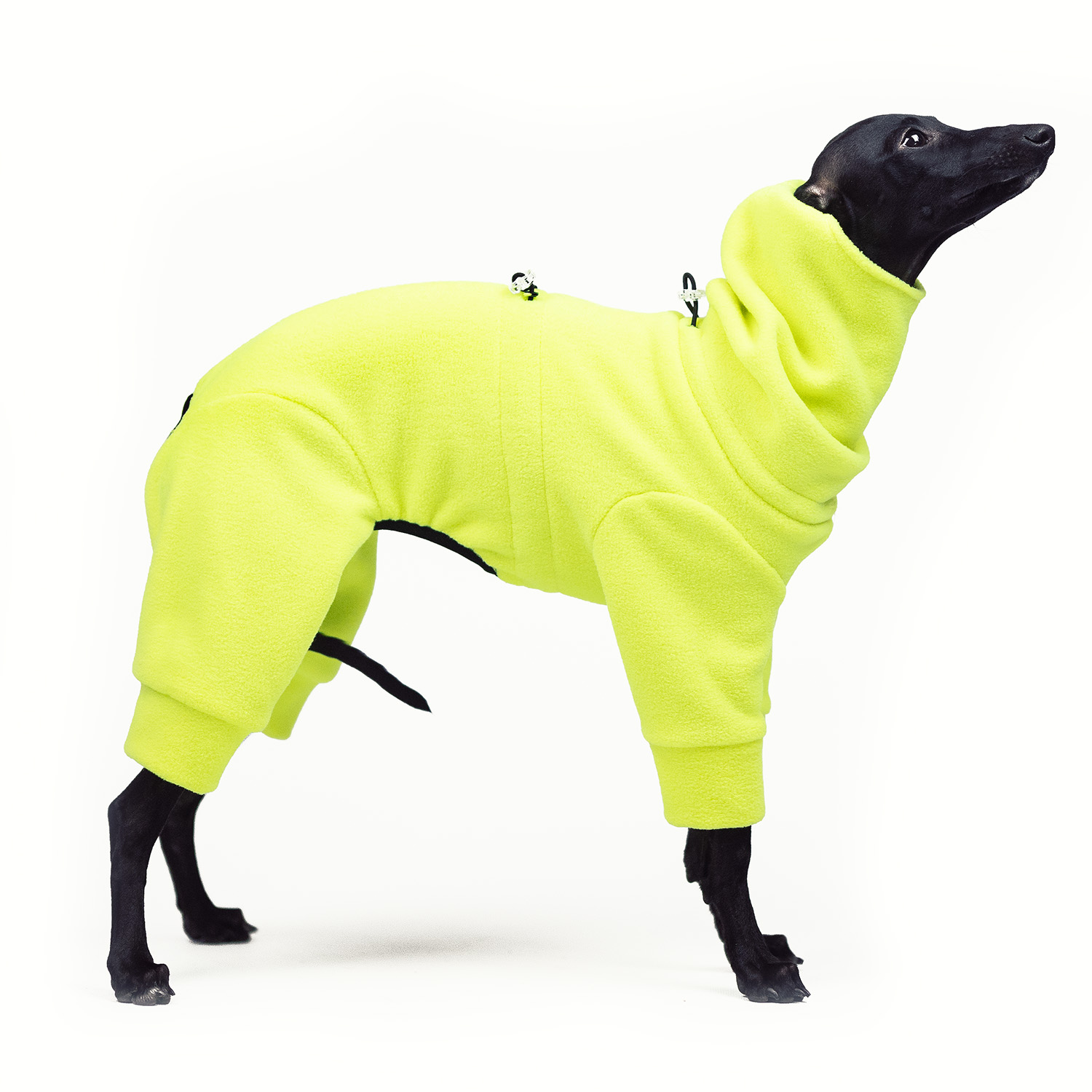 Jumpsuit for italian greyhound NEON BLAZE - Wear.Chartbeat image 4