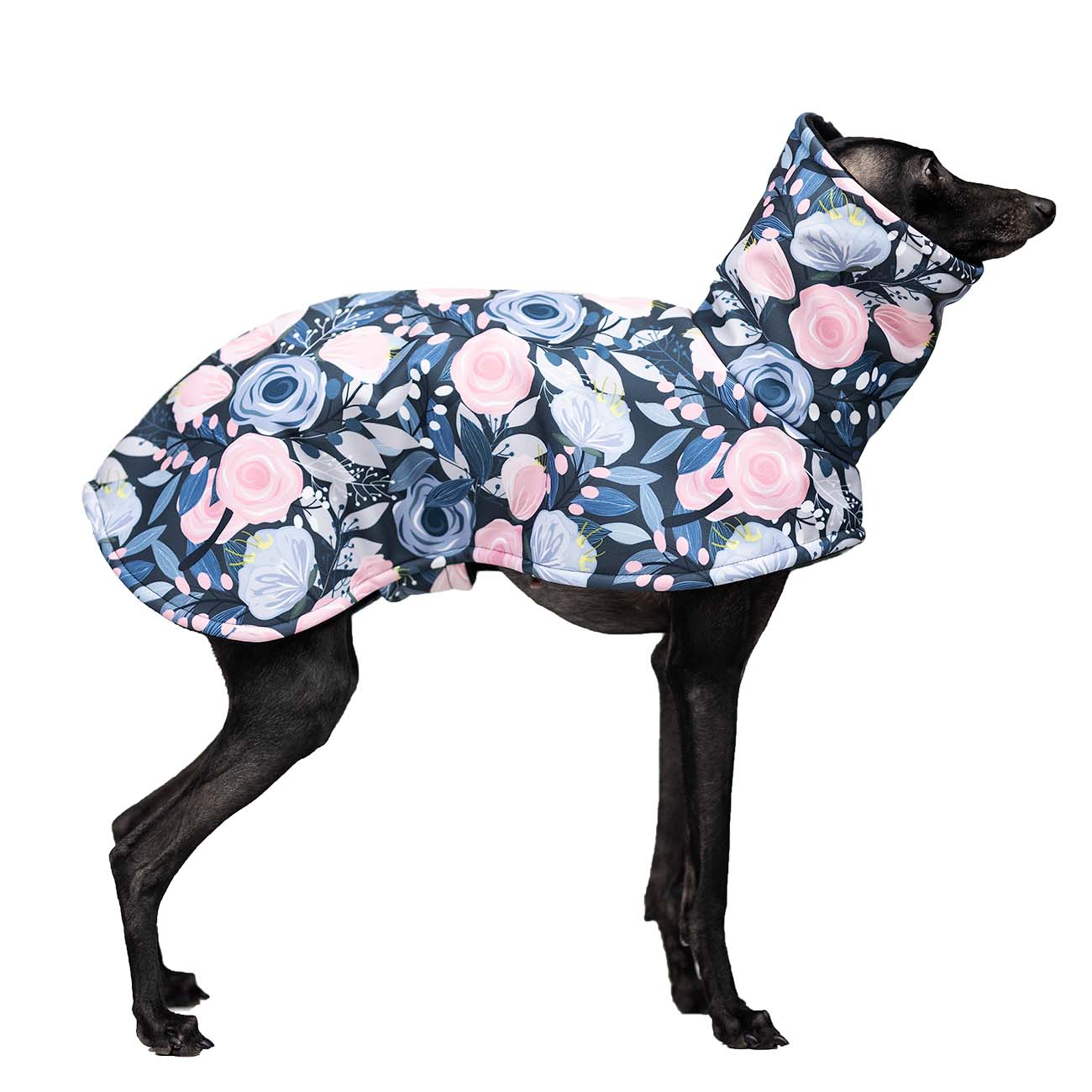 Italian greyhound BLOOMY Softshell® jacket - Wear.Chartbeat image 2