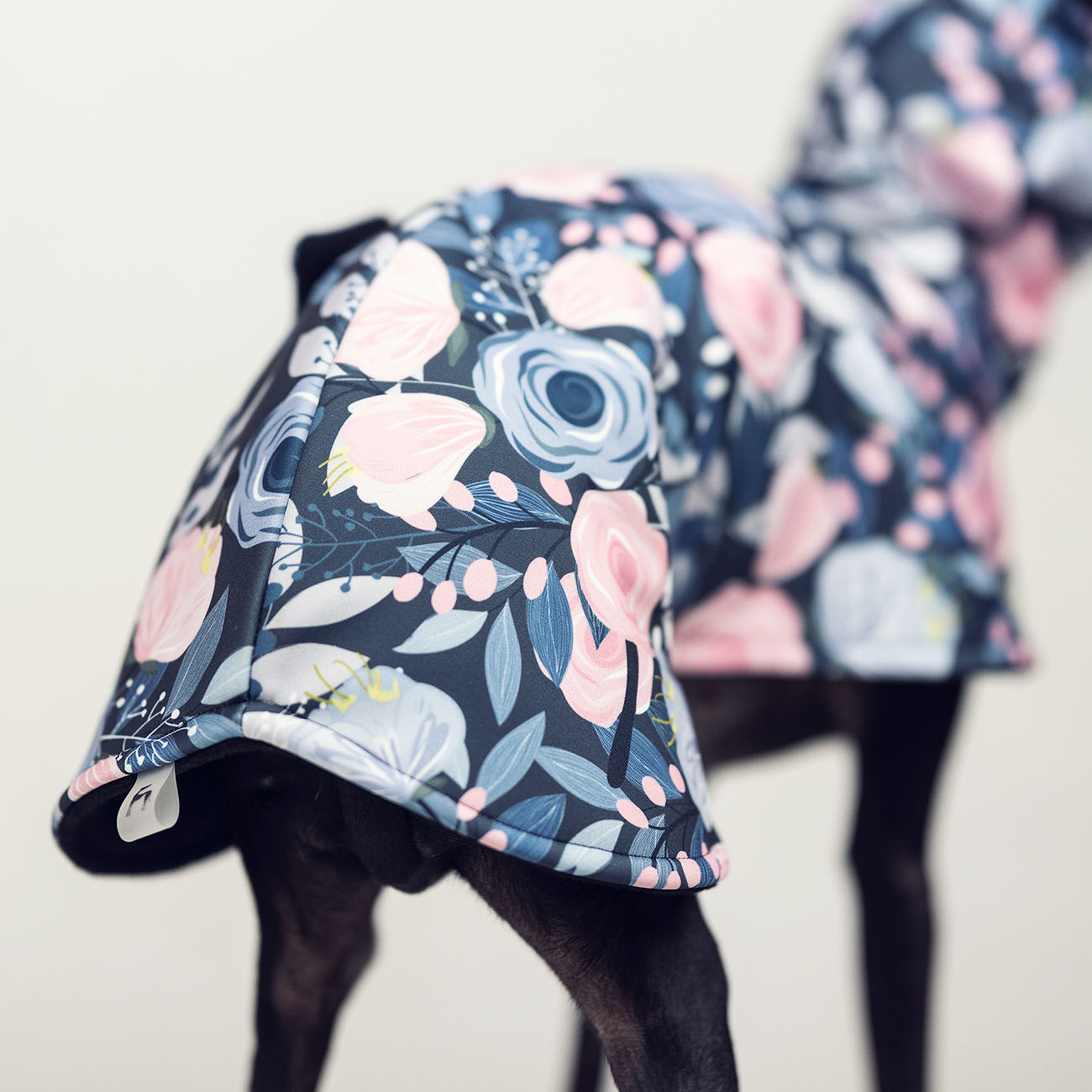 Italian greyhound BLOOMY Softshell® jacket - Wear.Chartbeat image 4