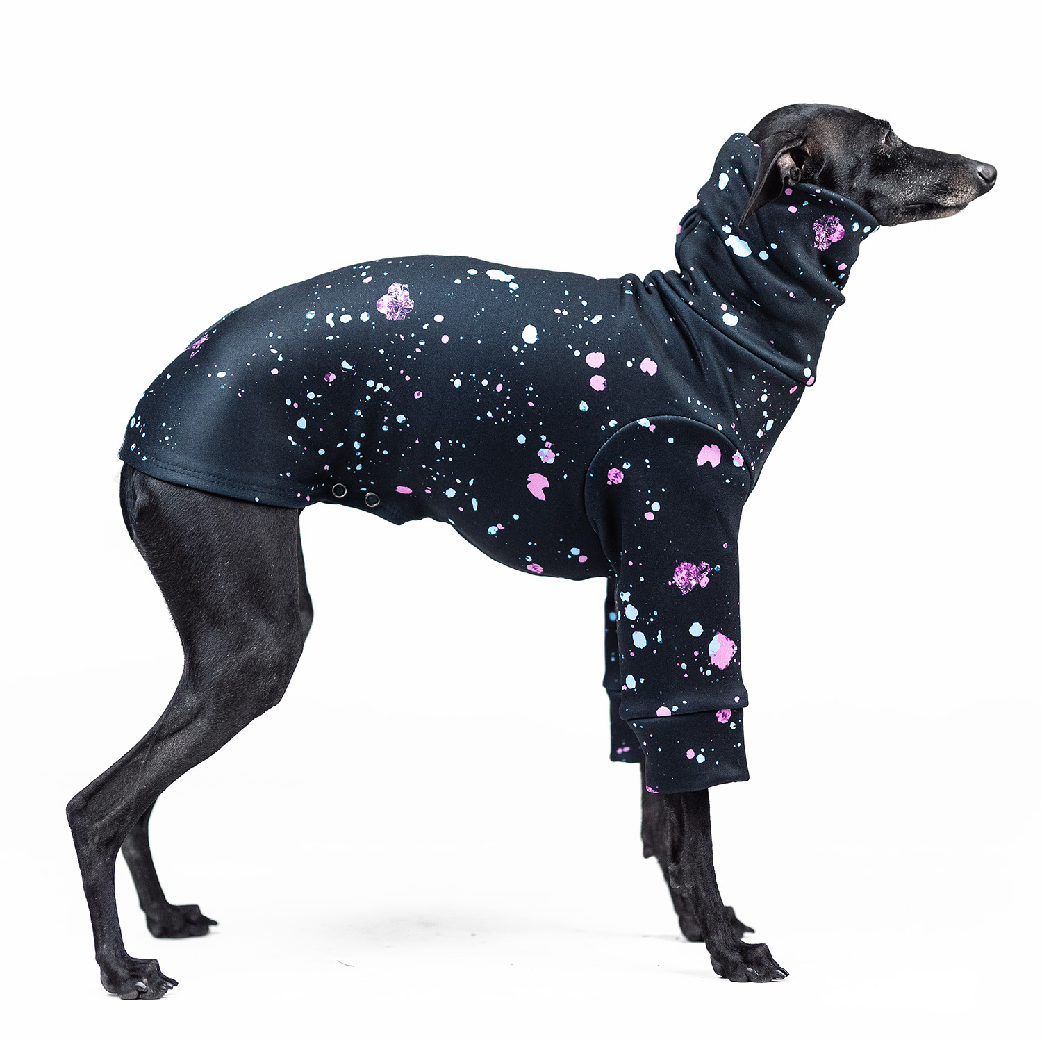 Italian greyhound clothing SPLASHY Stretchmax® blouse - Wear.Chartbeat image 1