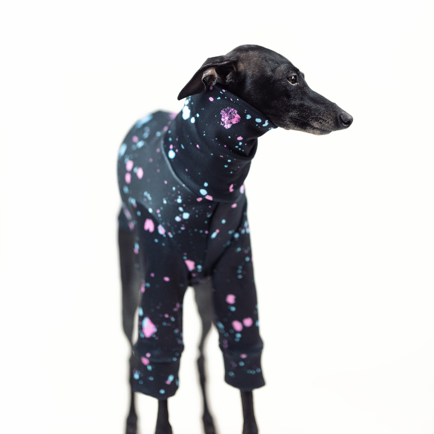 Italian greyhound clothing SPLASHY Stretchmax® blouse - Wear.Chartbeat image 2