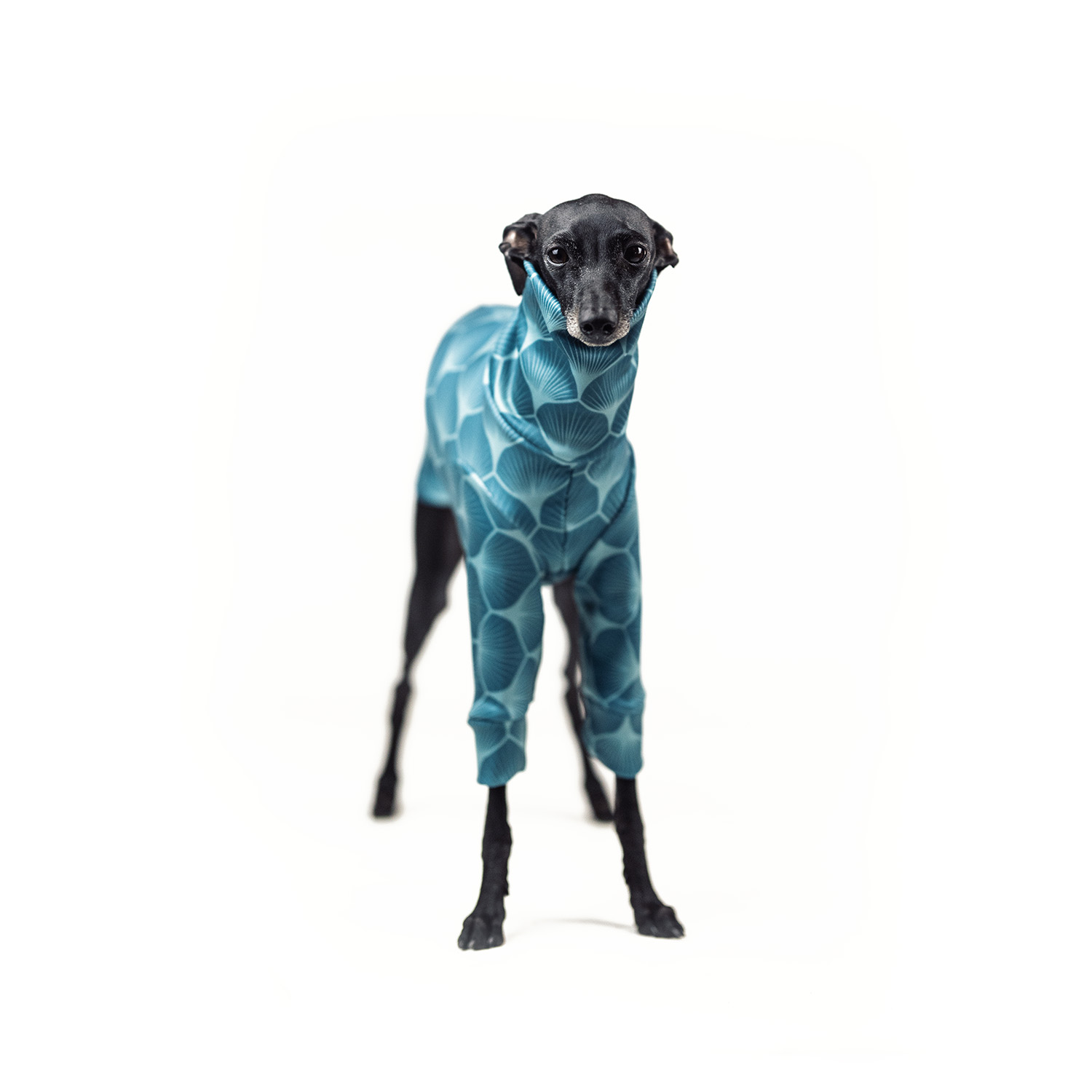 Italian greyhound clothing LAGOON REEF Stretchmax® blouse - Wear.Chartbeat image 3