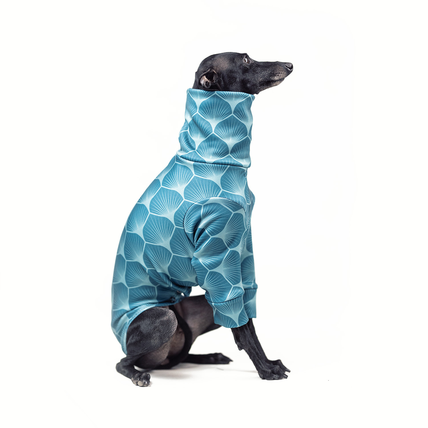 Italian greyhound clothing LAGOON REEF Stretchmax® blouse - Wear.Chartbeat image 2