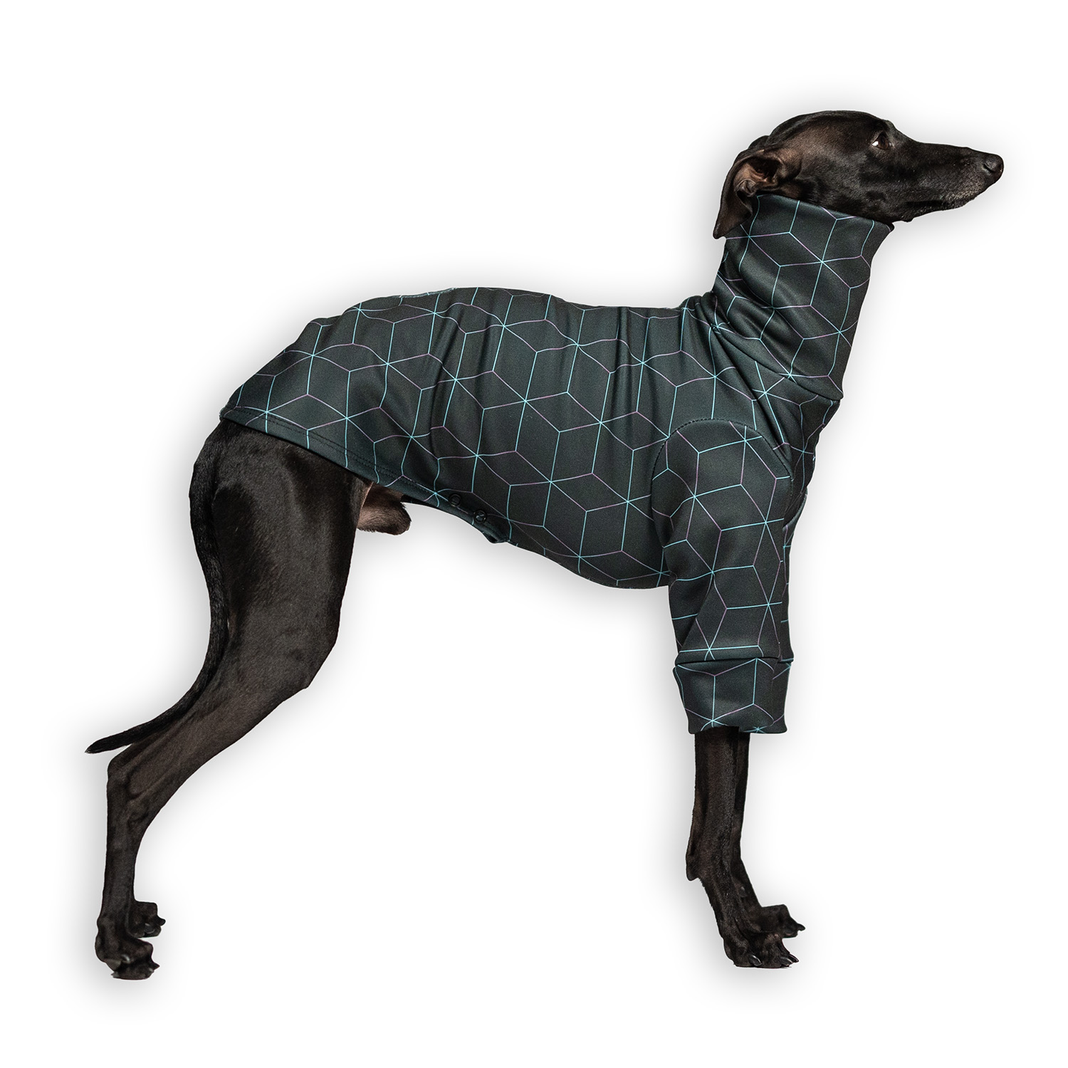 Italian greyhound clothing CYBERPUNK Stretchmax® blouse - Wear.Chartbeat image 1