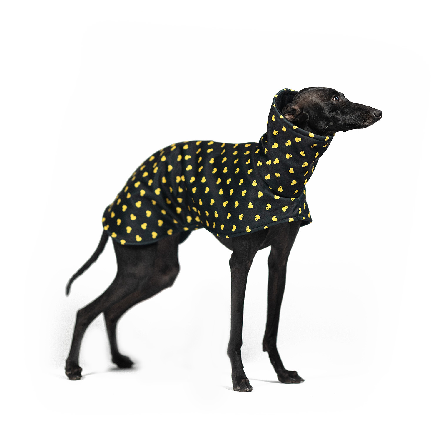 Italian greyhound DUCK OFF Softshell® jacket - Wear.Chartbeat image 1