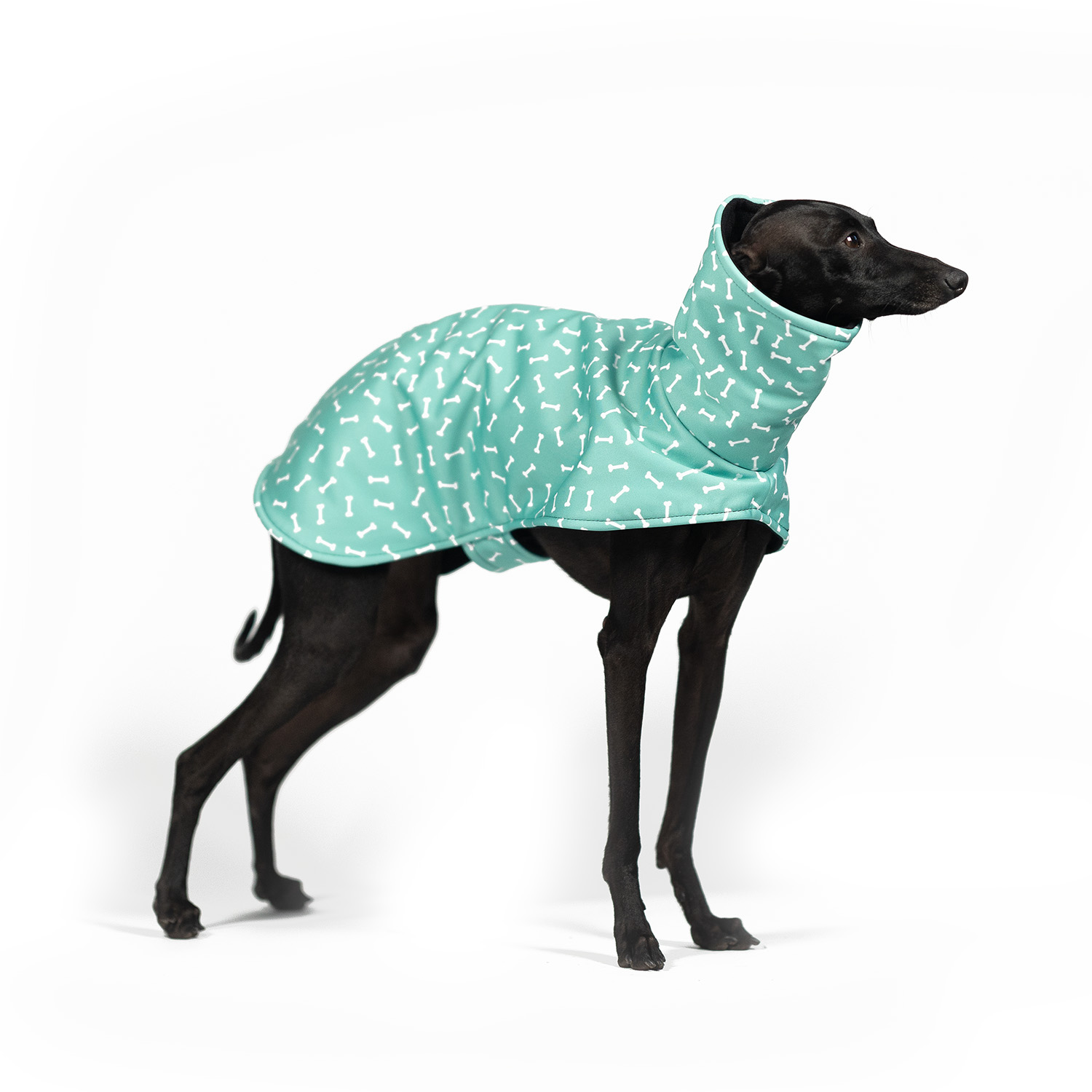 Italian greyhound BONE APPETIT Softshell® jacket - Wear.Chartbeat image 1