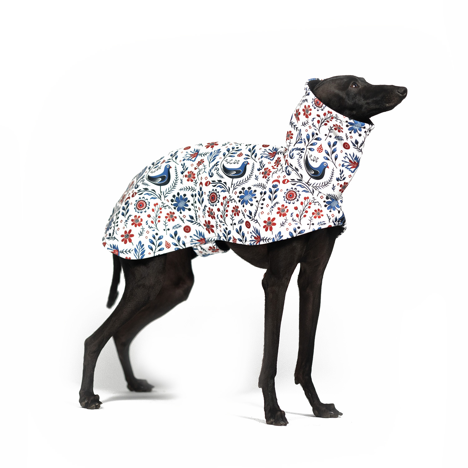 Italian greyhound SLAVIC Softshell® jacket - Wear.Chartbeat image 1