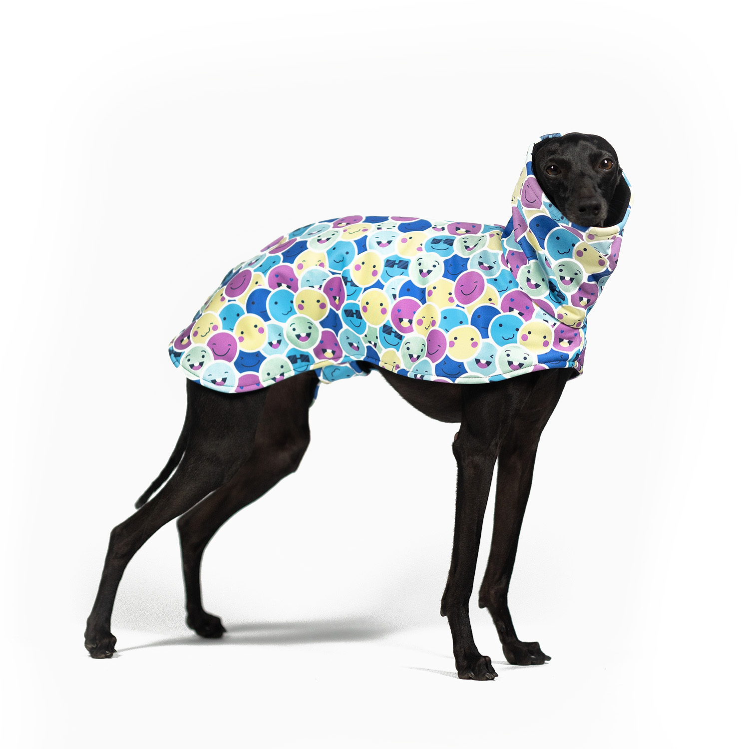 Italian greyhound EMOJITO Softshell® jacket - Wear.Chartbeat image 1