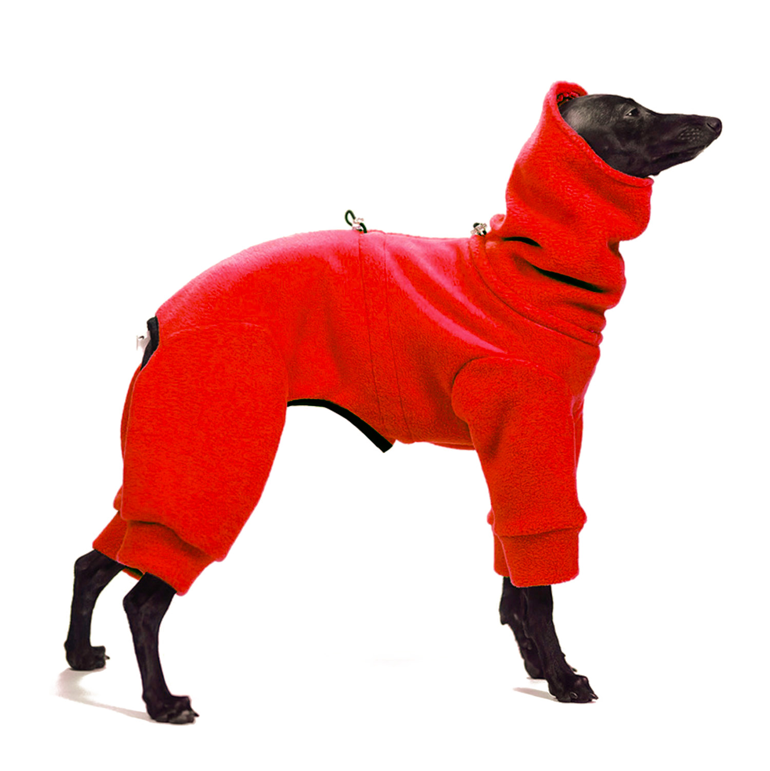 Jumpsuit for italian greyhound RUBY RED - Wear.Chartbeat image 1