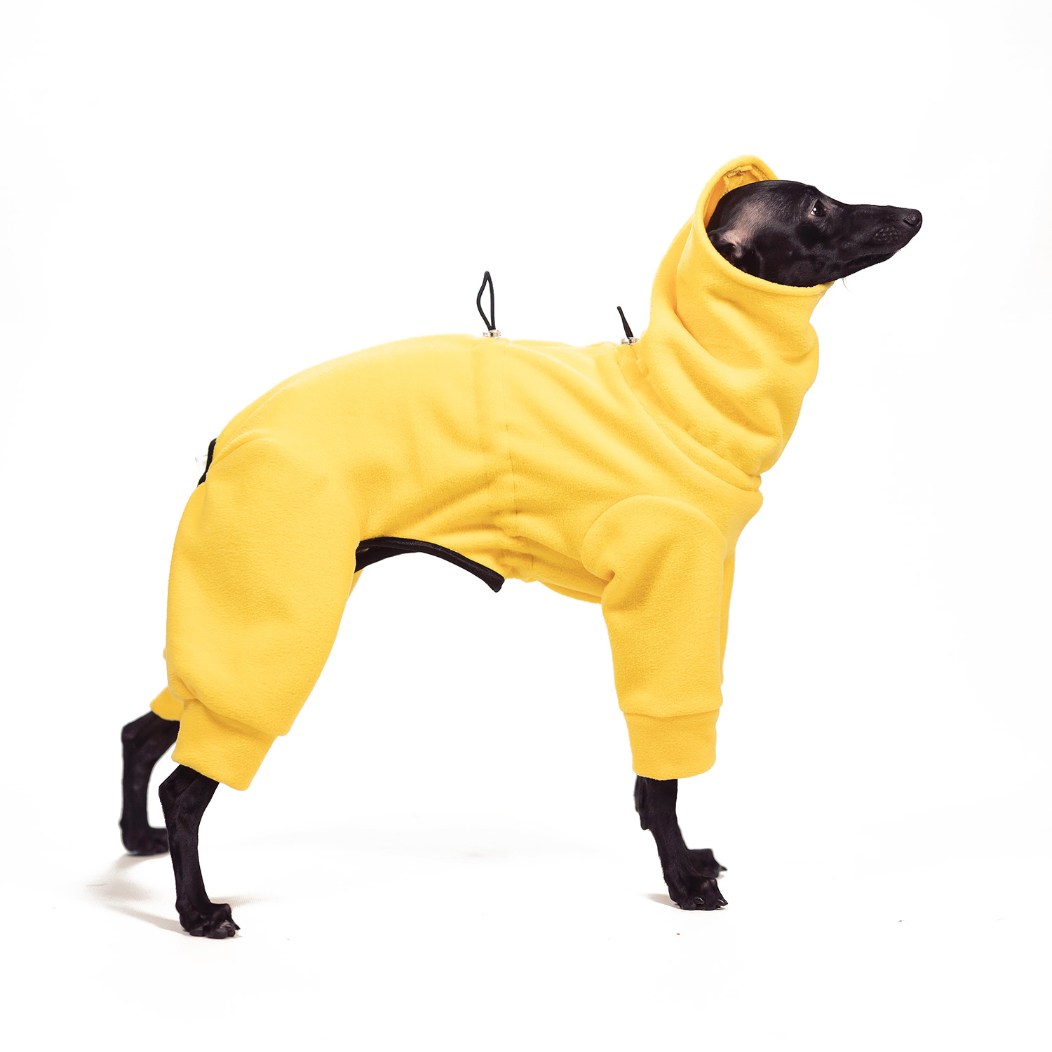 Jumpsuit for italian greyhound JUICY YELLOW - Wear.Chartbeat image 1