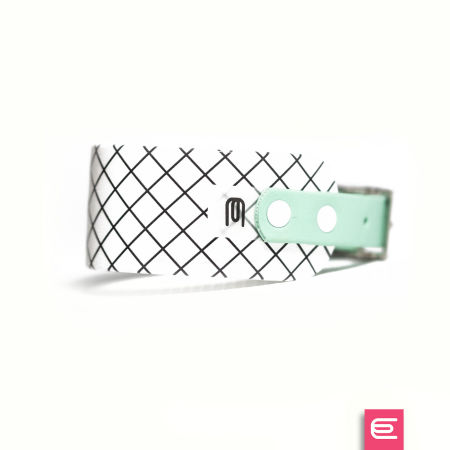 Italian greyhound collar EYESH 156 BioThane®