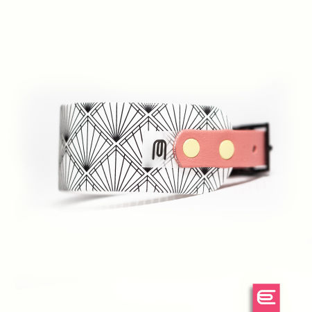 Italian greyhound collar EYESH 158 BioThane®