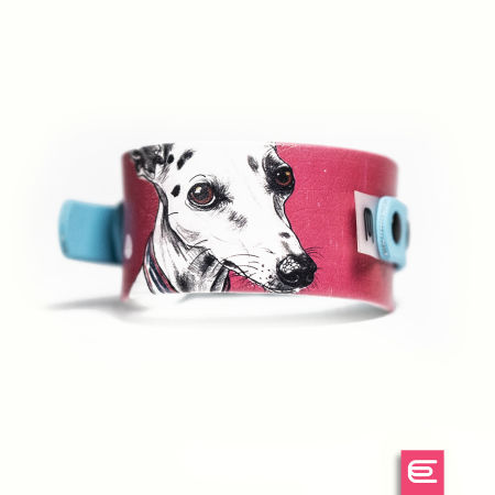 Italian greyhound collar EYESH 172 BioThane®