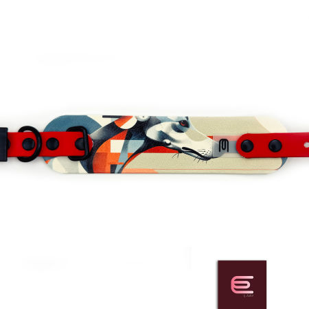 Italian greyhound collar EYESH 298 BioThane®