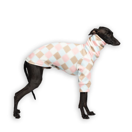 Italian greyhound clothing VANILLA SHAKE Stretchmax® blouse - Wear.Chartbeat image 1