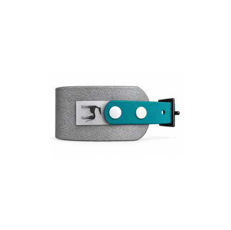 Italian greyhound collar EYESH 327 BioThane®