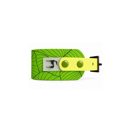Italian greyhound collar EYESH 328 BioThane®