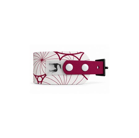 Italian greyhound collar EYESH 329 BioThane®