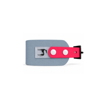 Italian greyhound collar EYESH 334 BioThane®