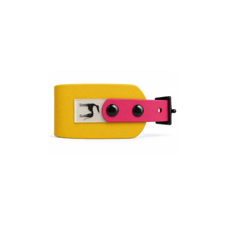 Italian greyhound collar EYESH 343 BioThane®