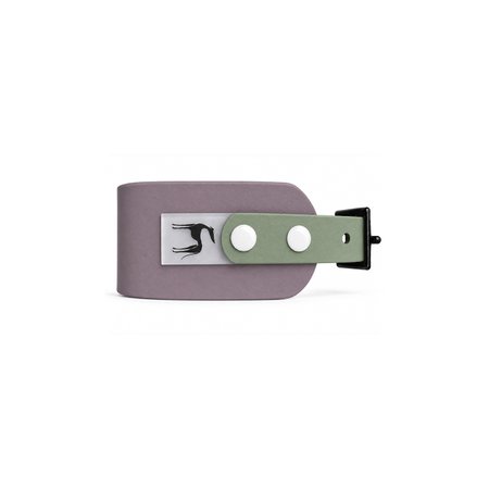 Italian greyhound collar EYESH 345 BioThane®