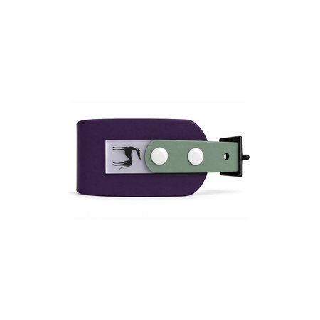 Italian greyhound collar EYESH 354 BioThane®