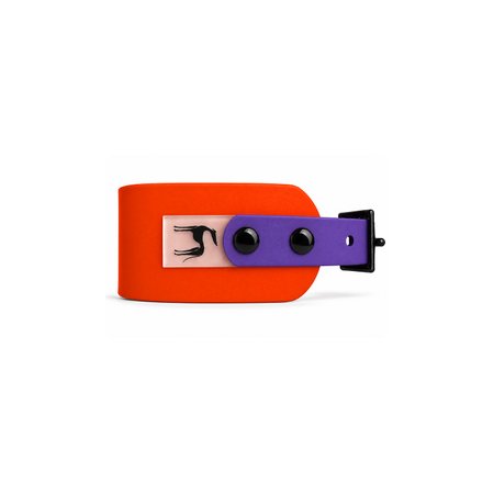Italian greyhound collar EYESH 357 BioThane®