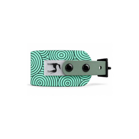Italian greyhound collar EYESH 360 BioThane®