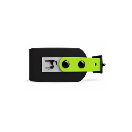 Italian greyhound collar EYESH 363 BioThane®
