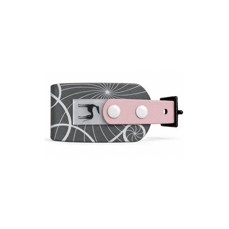 Italian greyhound collar EYESH 365 BioThane®