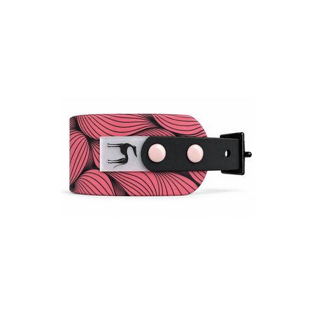 Italian greyhound collar EYESH 366 BioThane®