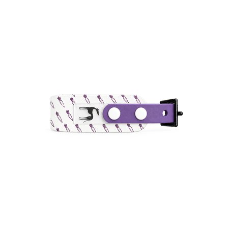 Italian greyhound collar PUPPY EYESH 368 BioThane®