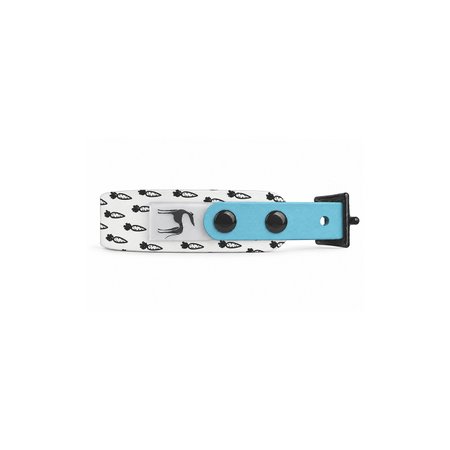 Italian greyhound collar PUPPY EYESH 370 BioThane®