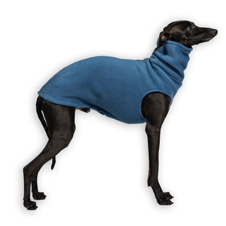 Italian greyhound clothing BLUE FLEECE - Wear.Chartbeat image 1