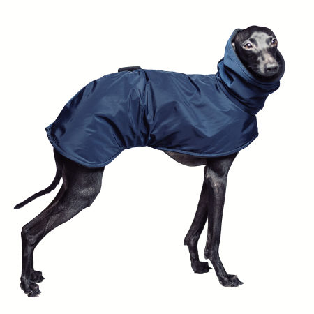 Italian greyhound jacket NAVY NYLON - Wear.Chartbeat image 1