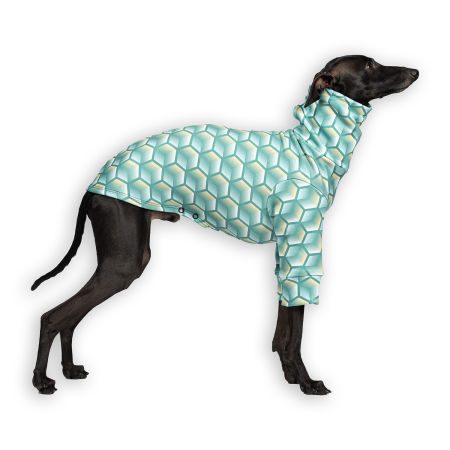 Italian greyhound clothing HEXED Stretchmax® blouse - Wear.Chartbeat image 1