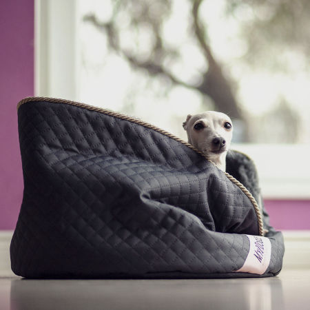 BOW MEOW XL - bed for italian greyhound - My Dogue image 3